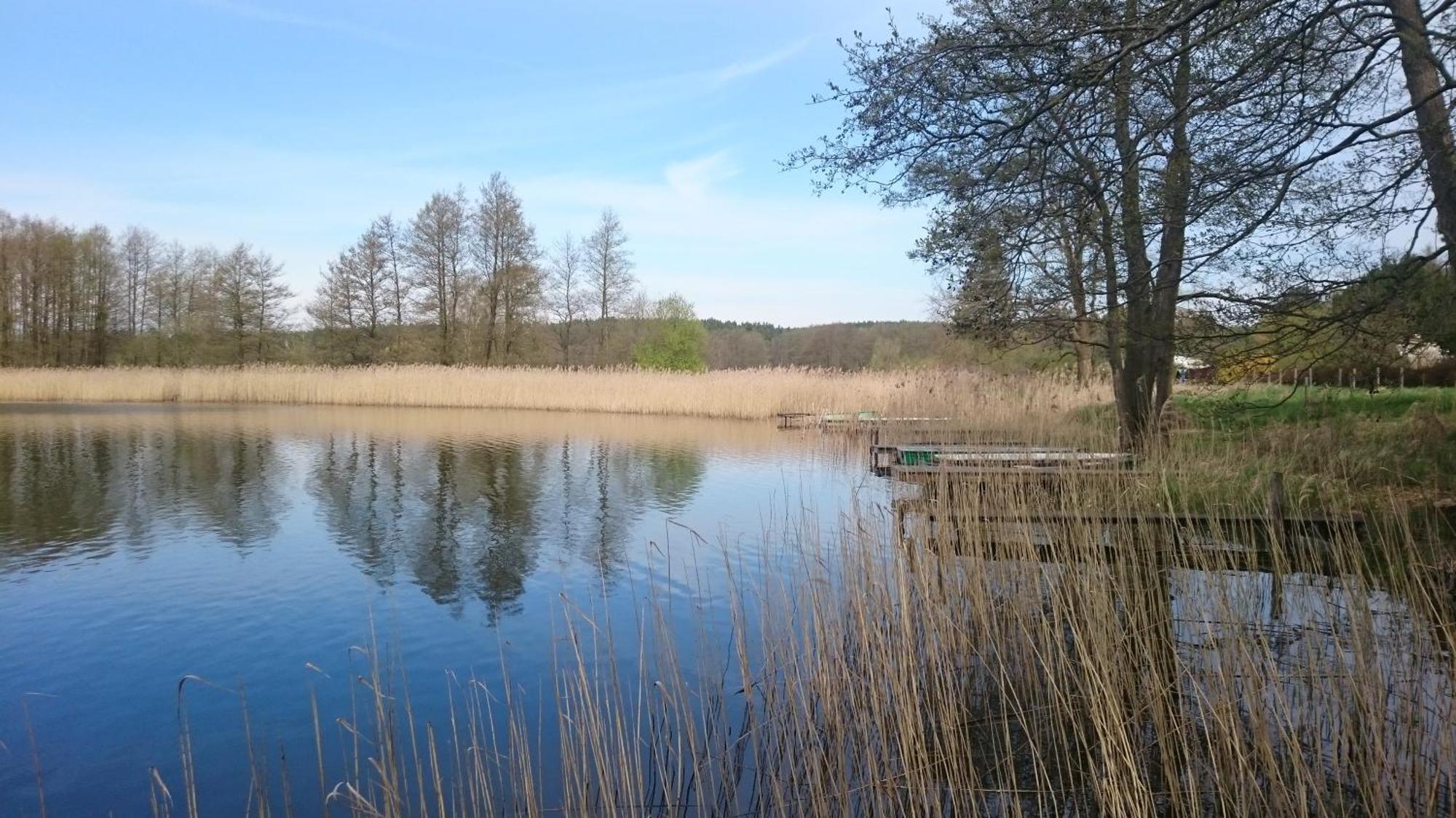 Idyll Im Land Der 1000 Seen Liessow  ภายนอก รูปภาพ