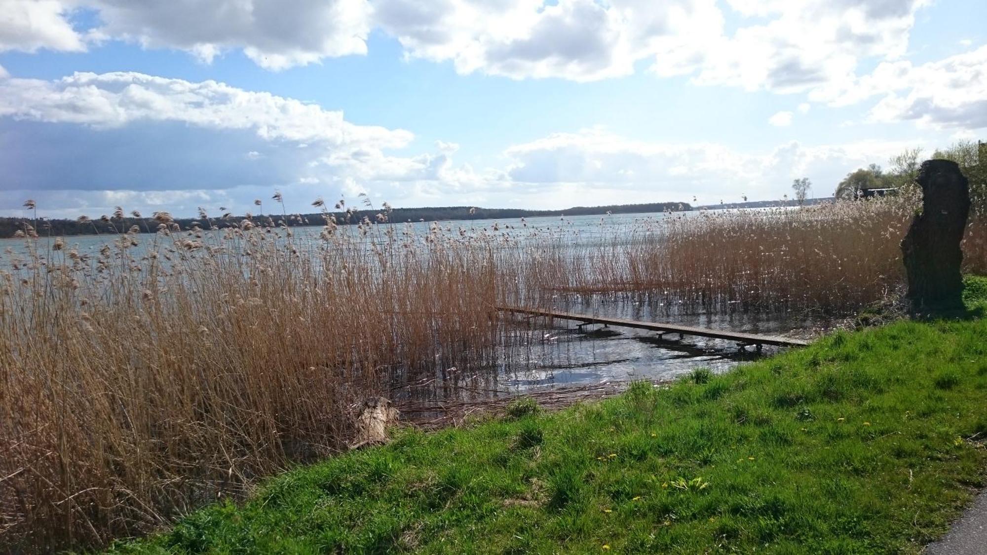 Idyll Im Land Der 1000 Seen Liessow  ภายนอก รูปภาพ